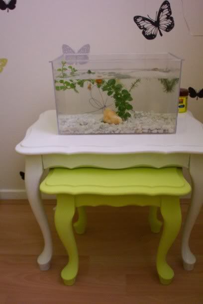 [img width=408 height=612]http://i24.photobucket.com/albums/c1/Cmama2be/Picture_0176.jpg[/img]