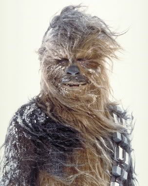 snowy-wookie.jpg