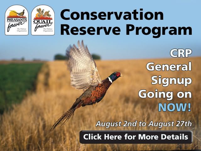 2010crp.jpg