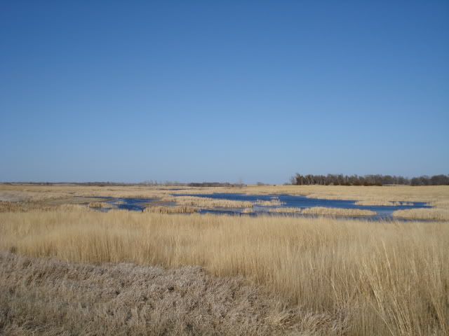 DSC02024.jpg