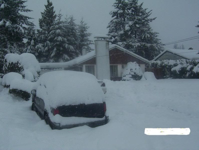 snowstormChristmas2008008.jpg