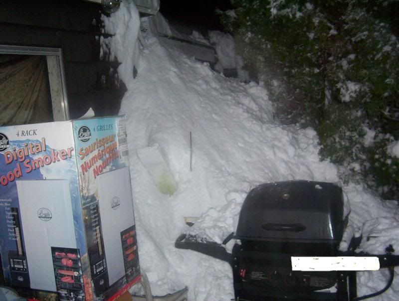 snowstormChristmas2008017-1.jpg
