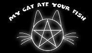 witchcat.jpg witch cat image by wolfkatt13