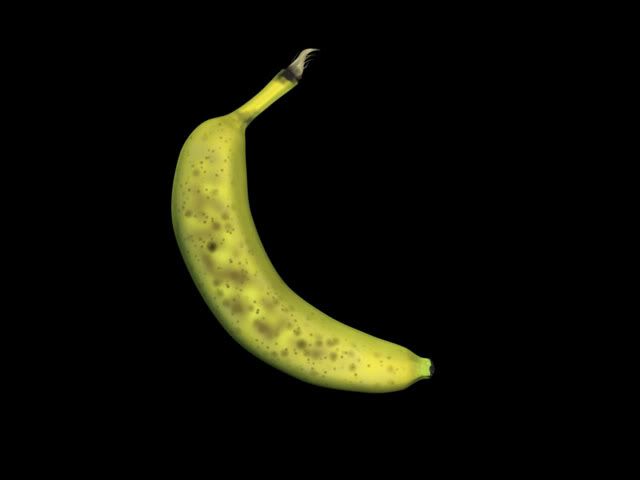 Banana14.jpg