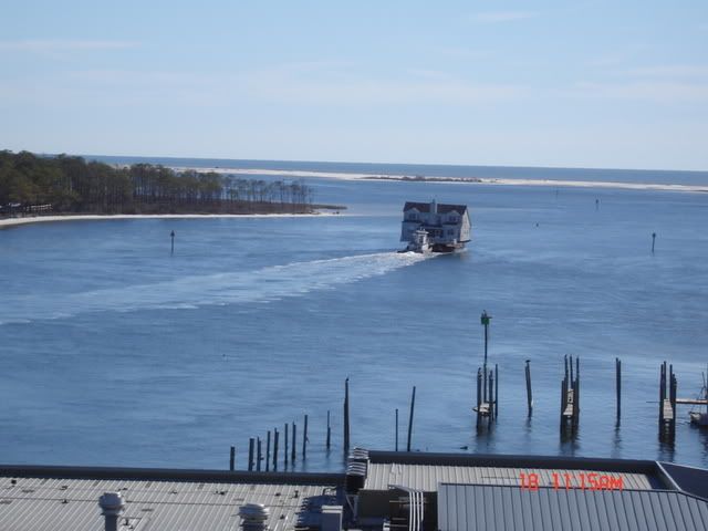 DSC00261.jpg