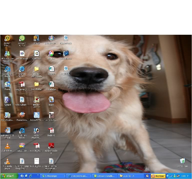 desktop-1.jpg