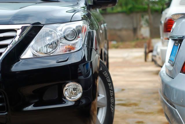 DSC_7105.jpg