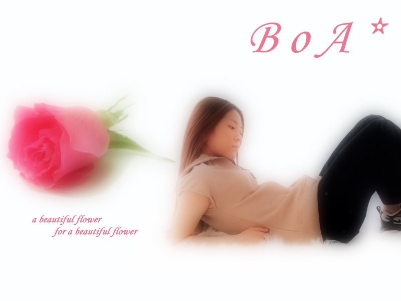 boa wallpaper. Boa Wallpaper Rose Image