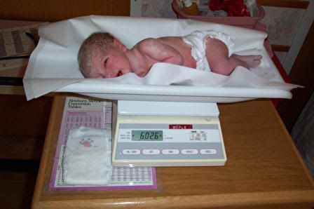 Image hosting by Photobucket