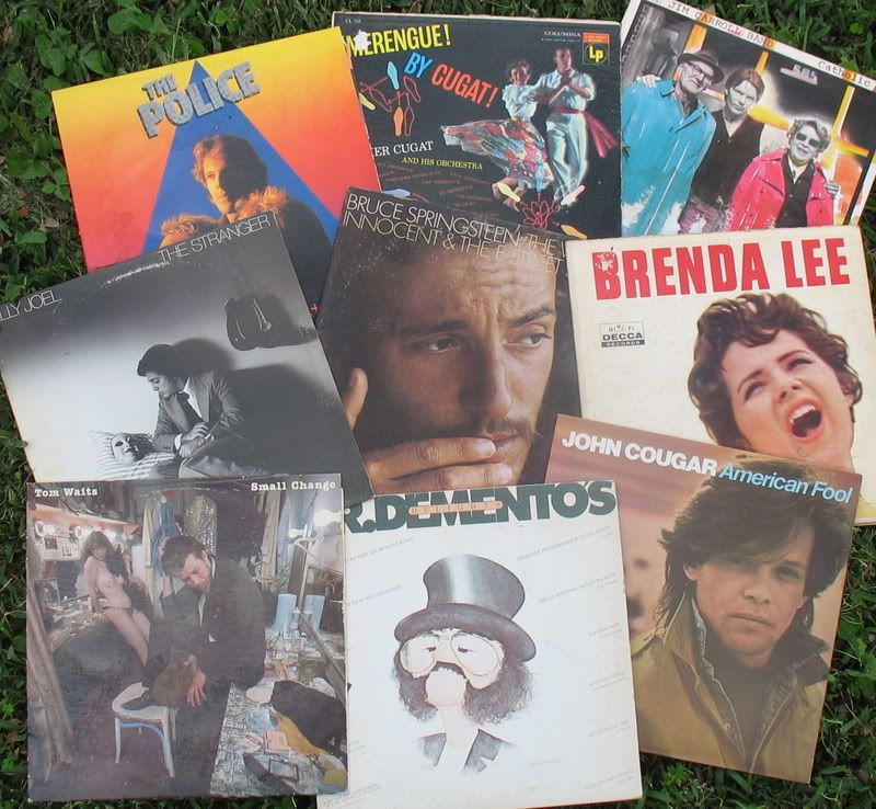 VinylOnGrass