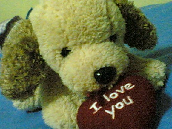 Photobucket - Video and Image Hosting