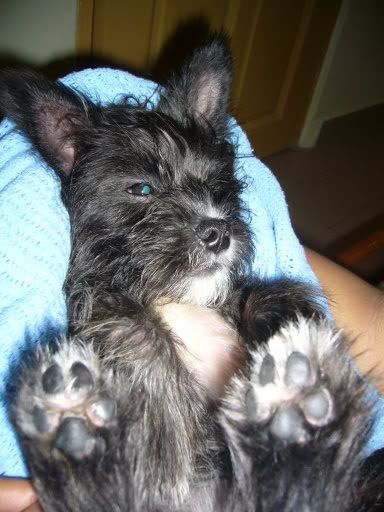 Photobucket - Video and Image Hosting