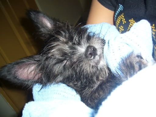 Photobucket - Video and Image Hosting