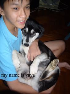 Photo Sharing and Video Hosting at Photobucket