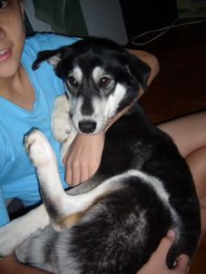 Photo Sharing and Video Hosting at Photobucket