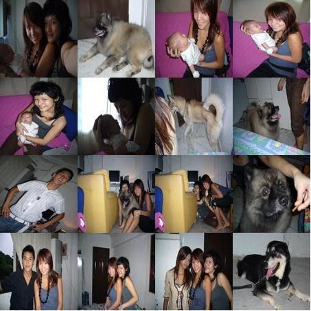 Photobucket - Video and Image Hosting