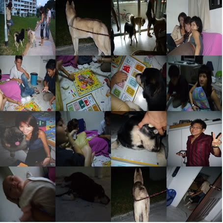 Photobucket - Video and Image Hosting