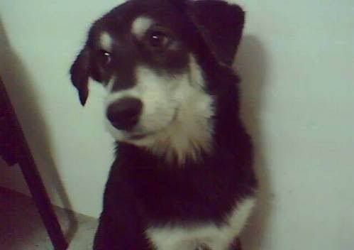 Photobucket - Video and Image Hosting