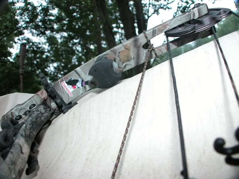 limb driver arrow rests Archery Talk Forum