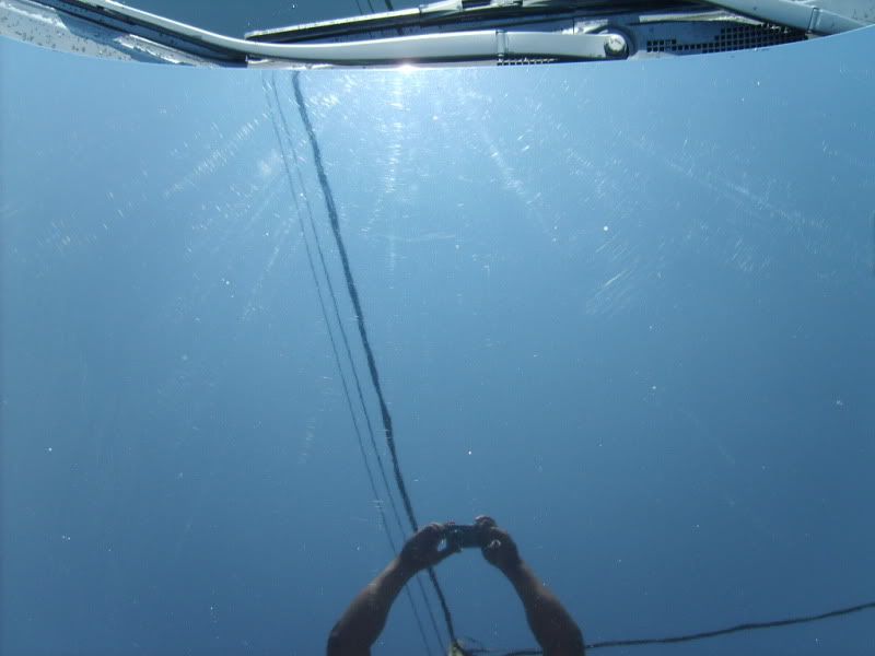 SD533716.jpg