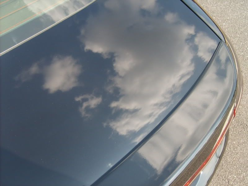 SD533723.jpg