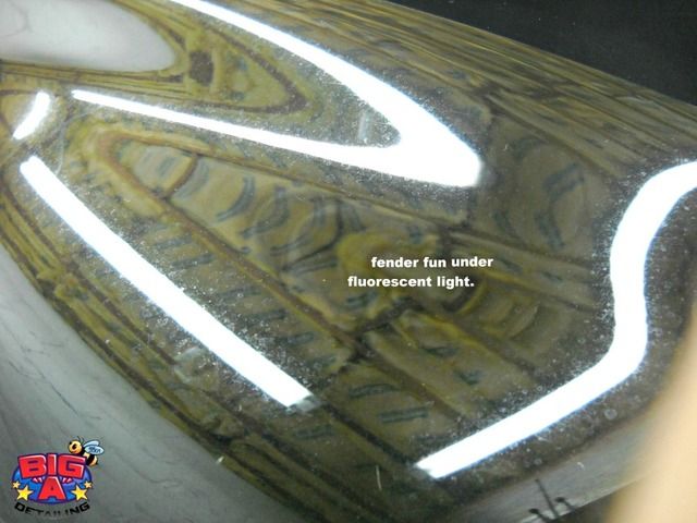 DSCN5426.jpg