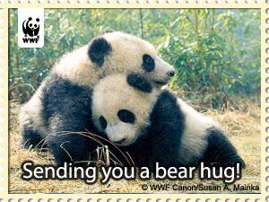 Sending You a Bear Hug