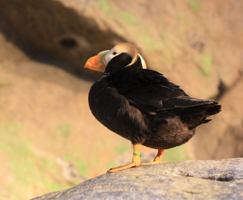 IMAGE: http://i24.photobucket.com/albums/c19/rcdriftdude/IMG_0020.jpg