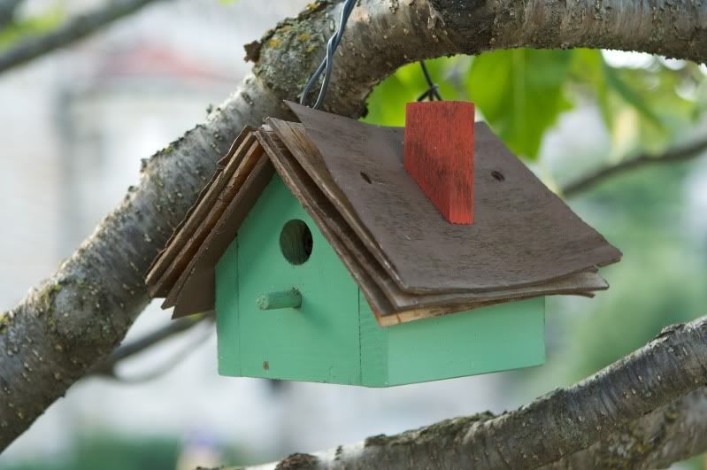 IMAGE: http://i24.photobucket.com/albums/c19/rcdriftdude/IMG_0675.jpg