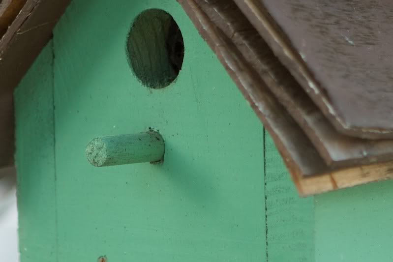 IMAGE: http://i24.photobucket.com/albums/c19/rcdriftdude/IMG_06751.jpg