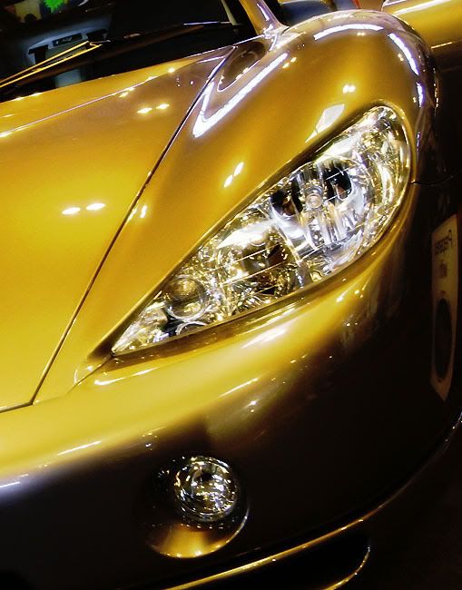 IMAGE: http://i24.photobucket.com/albums/c19/sandpiperphotos/0555crop.jpg