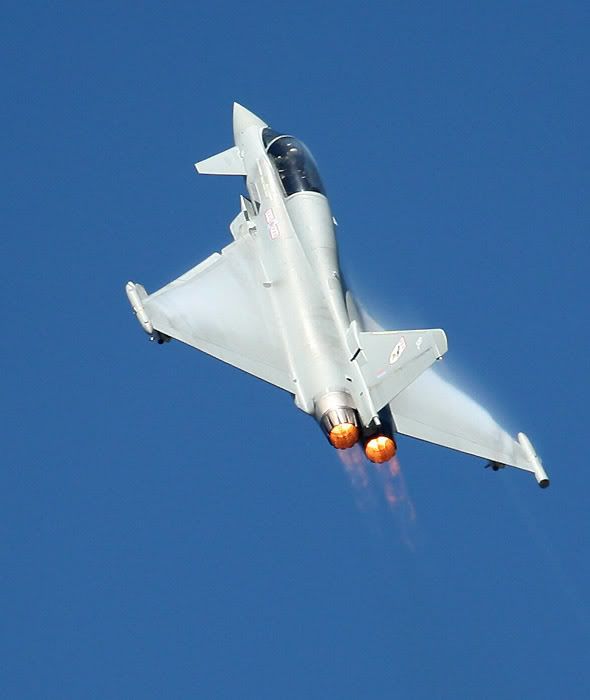 IMAGE: http://i24.photobucket.com/albums/c19/sandpiperphotos/3555.jpg