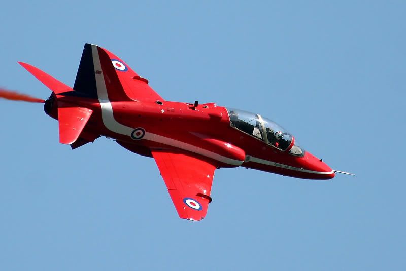 IMAGE: http://i24.photobucket.com/albums/c19/sandpiperphotos/7648.jpg