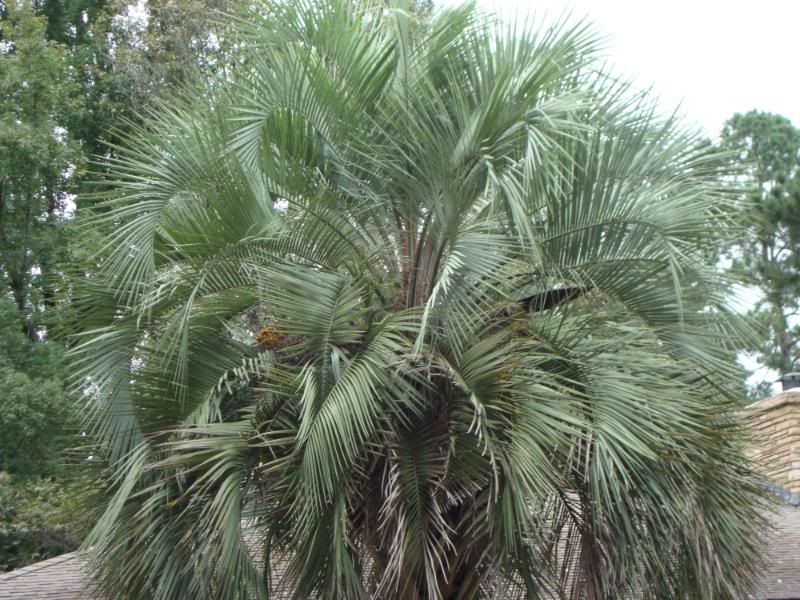 October2009072.jpg