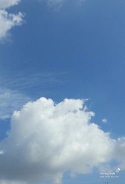  photo 20130925-01.jpg