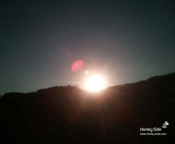  photo 20131004-01.jpg