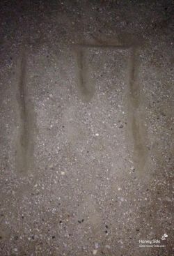  photo 20131021-01.jpg