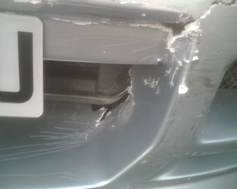 IMG00529.jpg