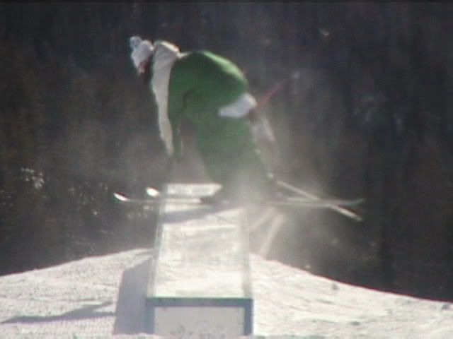 1139812136skiing20023.jpg