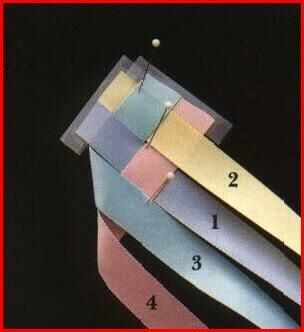 belt_004.jpg