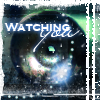 wy.png