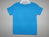 12 Month Turquoise Shirt- You Pick the Design