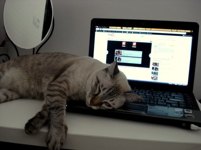 Photobucket