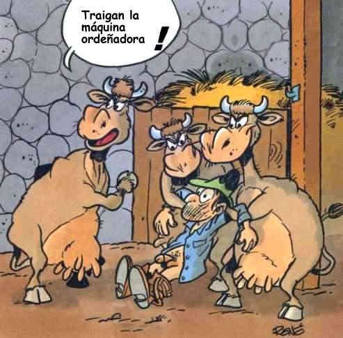 Humor grafico con animales+yapa Humor grafico con animales+yapa