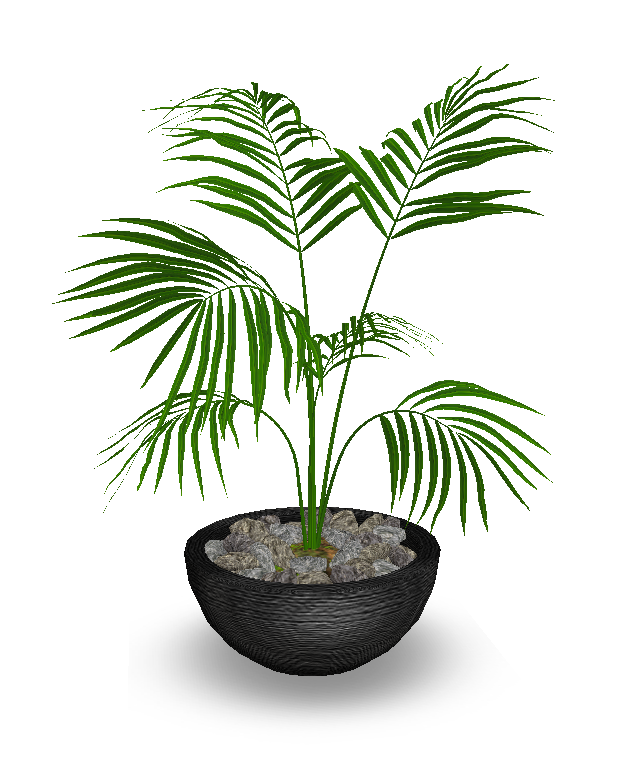  photo potted palm v2.png