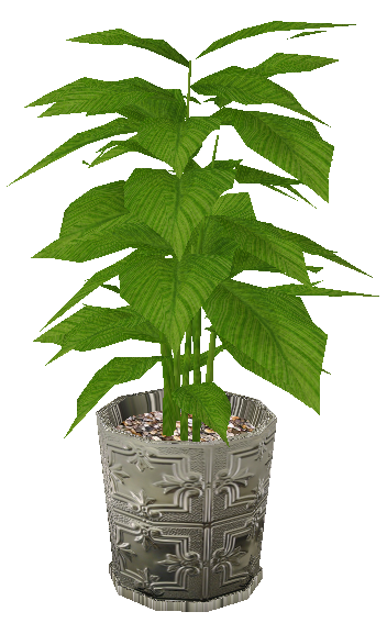  photo potted plant v1.png