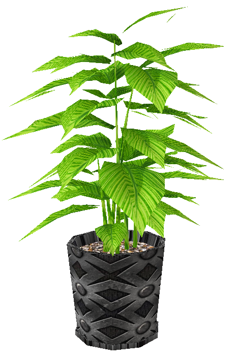  photo potted plant v3.png