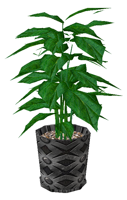  photo potted plant v5.png