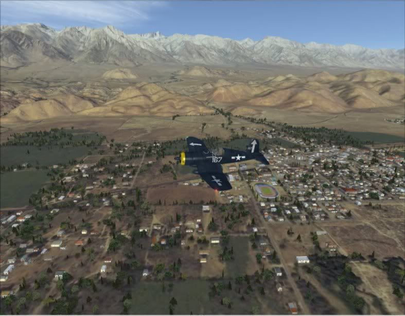 DV_4.jpg