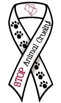 STOP ANIMAL CRUELTY!!